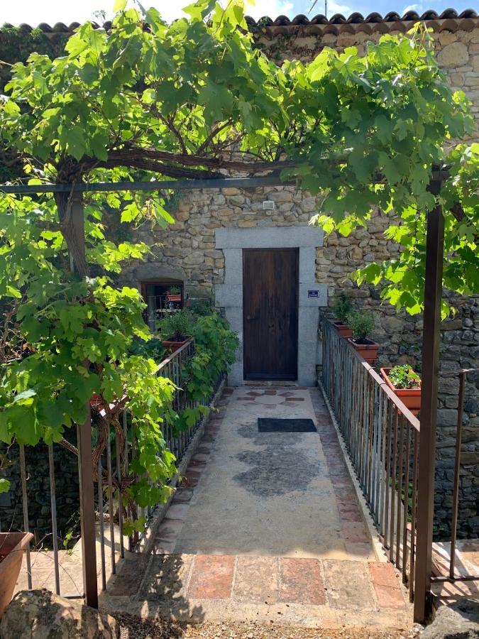 Le Fleuriste Villa Saint-Sauveur-de-Cruzière Dış mekan fotoğraf